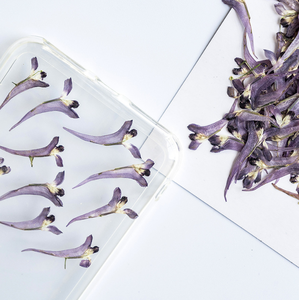 Especímenes de <span class=keywords><strong>flores</strong></span> de <span class=keywords><strong>Corydalis</strong></span> Decumbens prensadas secas reales naturales <span class=keywords><strong>Flores</strong></span> de plantas para arte epoxi festivo San Valentín Navidad Pascua - Product Image 2