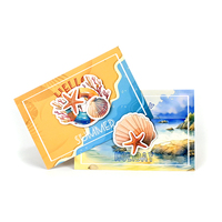 Prix de gros conception personnalisée impression Hello Summer cartes de vœux à paillettes 3D avec enveloppe feuille d'autocollants