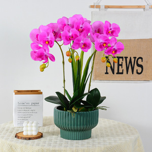 Orchidée Phalaenopsis Artificielle en Pot, Décoration Florale, PVC Souple Texturé 3D, Écologique, Décoration Intérieure, Décoration de Table - Product Image 1