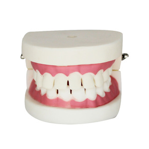 Dental preparation practice model, interdental <b>gap</b> model, tooth preparation model, teaching implant model, denture props - Product Image 4
