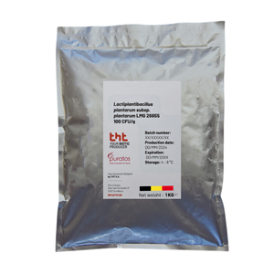 Lactiplantibacillus plantarum LMG 26655 THT 030707 Culture probiotique de qualité supérieure 10 400 UFC/g pour produits de santé alimentaires fermentés - Product Image 1