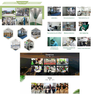 Clorofila líquida, polvo de clorofila orgánica pura, venta al por mayor - Product Image 4