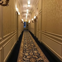Moquette ignifuge Axminster en laine et nylon tissée pour couloirs d'hôtel, itinéraires d'évacuation et espaces publics