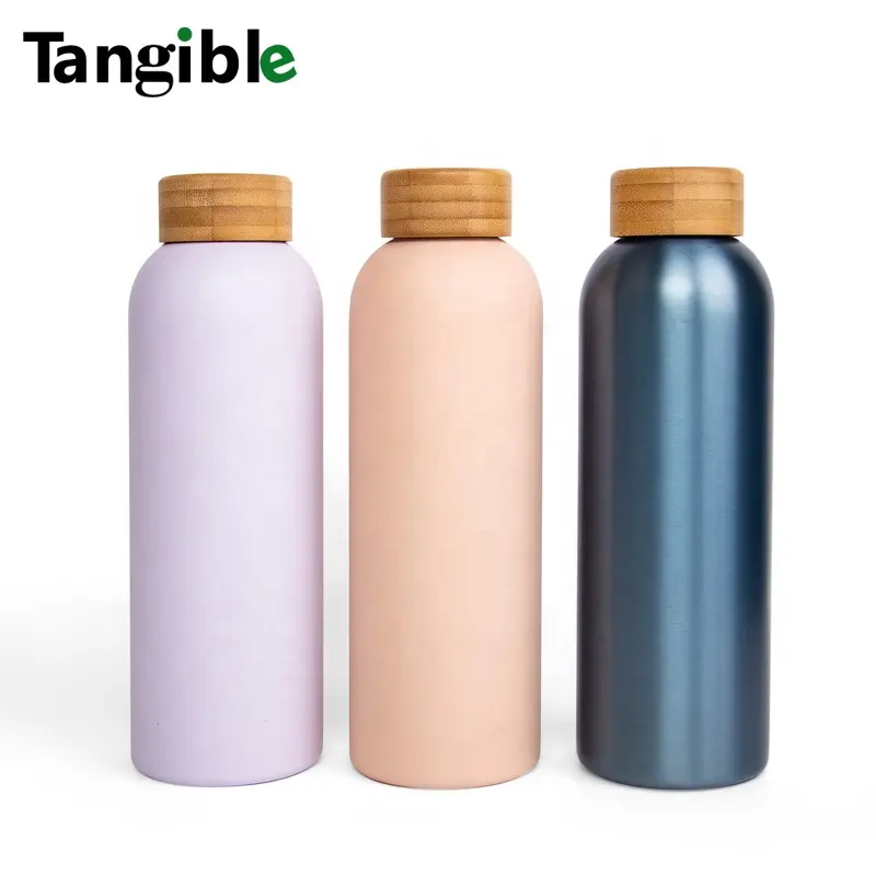 insulated stainless steel water bottle