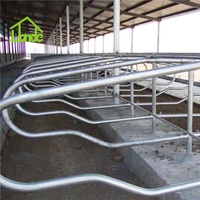Establo para Vacas de Alta Resistencia con Cubículos Portátiles Galvanizados en Caliente para Granjas Lecheras