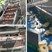 Best verkochte Chinese gedroogde fruitproducten, gezonde droge voeding, appelringen