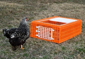 Bán Buôn Vận Chuyển Lồng Công Suất Lớn Gia Cầm Lồng Gà Coop Hình Chữ Nhật Gà - Product Image 5
