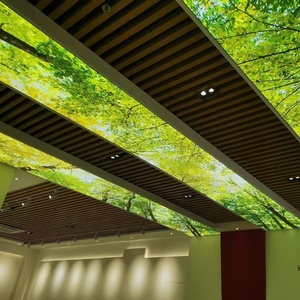 ZHIHAI materiale per la decorazione dell'edificio decorazioni per la <span class=keywords><strong>casa</strong></span> piastrelle per soffitti in pvc a led - Product Image 6