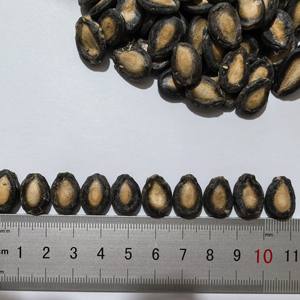 Bán Buôn Chất Lượng Cao Màu Đen Kích Thước Lớn Hạt Giống Dưa Hấu Đồ Ăn Nhẹ Nguyên 25Kg Khô Bao Bì Nội Mông Cổ Mới Nhất Crop Năm 9% Max - Product Image 5
