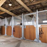 Stalle extérieure préfabriquée en acier enduit de poudre d'écuries de cheval de stalles de cheval de TLWY pour des chevaux