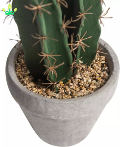 <span class=keywords><strong>Cactus</strong></span> artificiales en maceta de arcilla estilo cemento, macetas realistas para el hogar, hogar para fiesta en casa, decoración de oficina en casa - Product Image 5