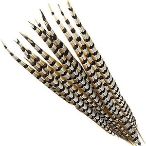 Plumas de Cola de Faisán Reeves Naturales de 140-150 cm de Largo, en Oferta, para Disfraces de Carnaval y Sombreros de Samba - Product Image 3