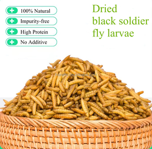 Alta proteína 10 lbs larvas de mosca de soldado negro secas a granel <span class=keywords><strong>BSF</strong></span> seco para pollo con embalaje de etiqueta privada personalizado - Product Image 6