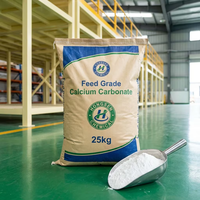 Carbonate de Calcium (CaCO3) de Qualité Alimentaire, Poudre Blanche, CAS 471-34-1, pour Prémélange Alimentaire et Produits Chimiques Inorganiques pour Usines d'Aliments pour Animaux