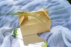 食品保存パーティー用ギフト & テイクアウトアプリケーション用卸売生分解性UVブラウンクラフト紙リジッドマウンテントップボックス - Product Image 3