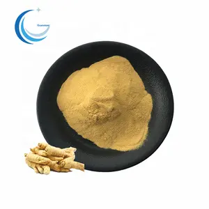 Pure american ginseng extract powder/panax american ginseng root powder/american ginseng stem and leaf extract