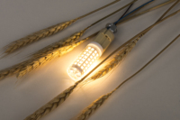 Prix d'usine, ampoule LED à haute luminosité 2835SMD, lampe à maïs, sans scintillement, dimmable, 650 lm, certifiée ETL, résidentielle, G9, 5 W, AC230V, haute qualité