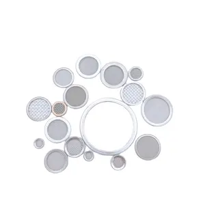 Stainless steel Weave SS Mesh Punched 304 316L fine wire mesh disks with thin ROUND frame