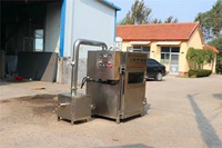 Fumoir industriel Machine à fumer et à sécher le poisson Fumoir à viande électrique Saucisse Jambon Poisson Machine à fumée Bon prix