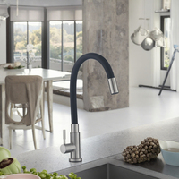 Robinet de cuisine monocommande en acier inoxydable 304 noir, à poser sur plan, eau froide, style contemporain