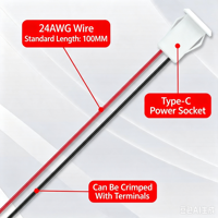 Conector de Panel Tipo C LN-010 con Indicador LED Dual Rojo y Verde, Conector de Cable de Alimentación USB-C Hembra, Certificación CE RoHS EMC