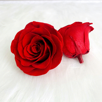 Vente en gros de têtes de roses naturelles séchées et préservées de 7-8 cm, arrangements floraux en boîte ETERNAL pour Pâques, la Saint-Valentin, la remise des diplômes
