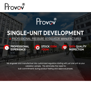 Regolatore di Pressione per Aria/Azoto con Valvola di Sicurezza, Connessione Maschio SAE 1/4" e Ingresso CGA580 G5/8, Alta Pressione 25 MPa - Product Image 6