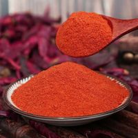 Poudre d'extrait de piment rouge pur de qualité alimentaire, fournie directement par l'usine
