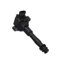 High Quality Auto Spare Parts Engine Systems Ignition Coils OEM 99660210400 for Porsche