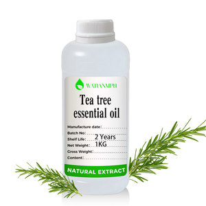 Huile Essentielle d'Arbre à Thé 100% Pure, Naturelle, Fraîche et Biologique, Distillée à la Vapeur, Qualité Supérieure, Vente en Gros, pour Tous Types de Peau - Product Image 4