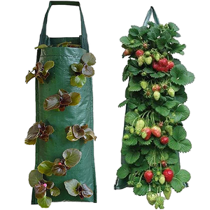 Sacs <span class=keywords><strong>de</strong></span> culture suspendus pour tomates et fraises TAK Garden, pots <span class=keywords><strong>de</strong></span> plantes, conteneurs, jardin vertical non tissé, sacs <span class=keywords><strong>de</strong></span> culture suspendus pour plantes - Product Image 1