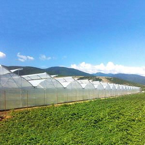 Invernadero agrícola barato de la estructura de la casa verde del Multi-palmo para el tomate - Product Image 3