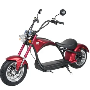 Mangosteen M1 EEC COC Certificación UE Almacén Stock 2 Ruedas Alta Calidad Neumático gordo Scooter eléctrico Citycoco