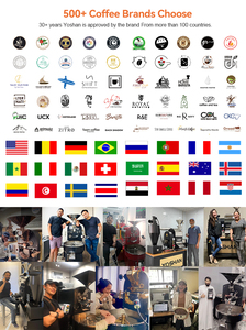 Gree e acciaio di qualità Probat vendita Dalian 120 piccoli infrarossi 50G 1Kgbean bruciatore elettrico/<span class=keywords><strong>Gas</strong></span> fagioli Gene 1Kg torrefazione caffè - Product Image 5