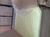 Papier autocopiant NCR perforé personnalisé imprimé en plusieurs couleurs pour les formulaires de factures et de reçus