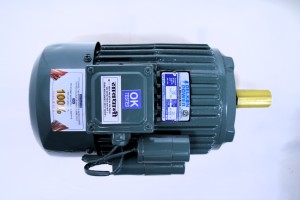Moteur à induction monophasé 2HP 1,5KW 1500 tr/min entièrement fermé en fonte avec support au sol 208-230V 50Hz Efficacité IE2 Cadre 95mm - Product Image 5