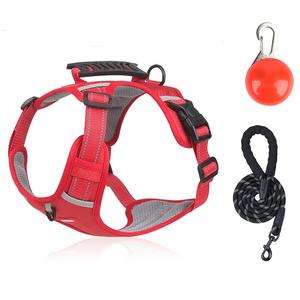 Arnés eléctrico Led sin tirones personalizado para perros, Kit de correa, seguridad de peluche, arnés táctico para mascotas de diseñador de cuerpo completo - Product Image 2