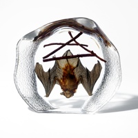 Spécimen de chauve-souris véritable en résine transparente, curio taxidermique, objet de collection, aide pédagogique en biologie, décoration gothique pour la maison ou le bureau