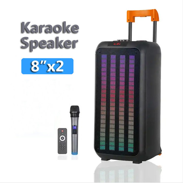 Flip Large Size Powered Heavy Bass Outdoor Wireless Trolley Party Active RGB Lighting Blue-tooths Speaker With Wireless Mic
