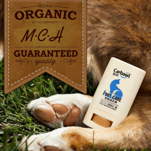 Balsamo per Zampe e Naso di Cani e Gatti, Crema Riparatrice Biologica Vegana con Logo Personalizzato, Idratante e Protettiva - Product Image 1