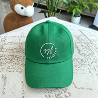 Gorra de Béisbol de Algodón con Logotipo Personalizado Bordado, Estilo Dad Hat de 6 Paneles, sin Estructura, Visera Curva, Ajustable con Hebilla Metálica, para Senderismo