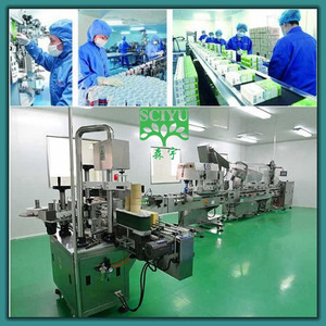 무료 샘플 허브 천연 고체 Virgaurea Solani 추출물 분말 솔리다고 추출물 - Product Image 3