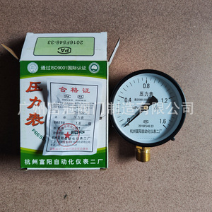 Fábrica de Instrumentos de Automatización de Hangzhou Fuyang No. Manómetro 2 Y100 0-1.6 Mpa para uso en agua, aceite e hidráulica - Product Image 1