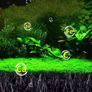 OEM Aquascaping Substraat Aquarium Bodem Aquatische Planten Bodem Amazonia Aquasoil voor Plantentank - Product Image 3