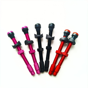 <span class=keywords><strong>Valve</strong></span> de pneu <span class=keywords><strong>tubeless</strong></span> <span class=keywords><strong>VTT</strong></span> 40/60/80mm avec bouchon de <span class=keywords><strong>valve</strong></span> français pour vélo - Product Image 1