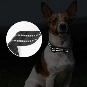 Collares de nailon con logotipo personalizado para perros, collar reflectante ajustable para mascotas con placa de nombre grabada, collares básicos duraderos para el cuello de gato - Product Image 6