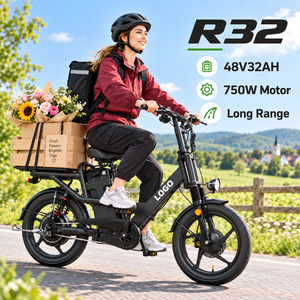 จักรยานส่งของไฟฟ้า R32 18x2.5 รุ่นสั่งทำพิเศษ 750W จักรยานบรรทุกไฟฟ้าจากโรงงานสำหรับคนขับส่งของ - Product Image 1