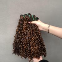 Faisceaux de Cheveux du Vietnam Double Tirés Vierge Qualité Supérieure Cuticule Alignée Bouclés Pixie Couleur Piano