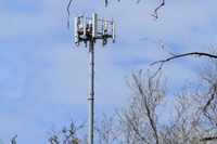 Fournisseur de poteaux simples galvanisés à chaud pour les réseaux de télécommunications et cellulaires en extérieur