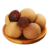 Premium Natuurlijk Voedingsmiddelkwaliteit Longan Fruit Sap Poeder Oplosmiddelextractie Fruitextract